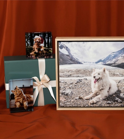Pro DPI Holiday Gifts web 73