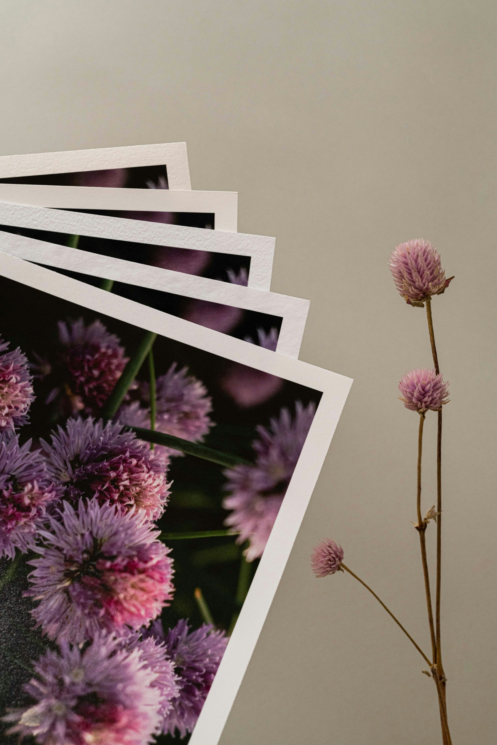 ProDPI Prints prodpi-prints