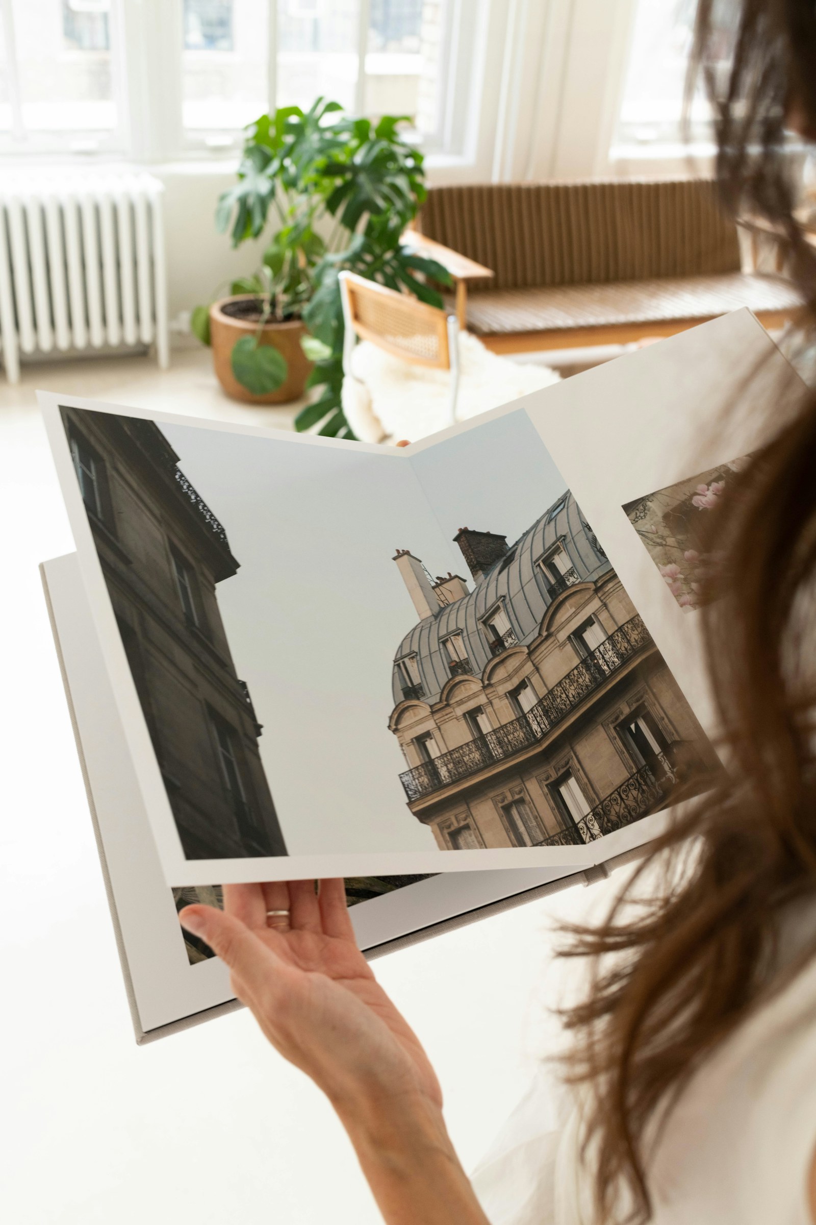 ProDPI Prints prodpi-prints