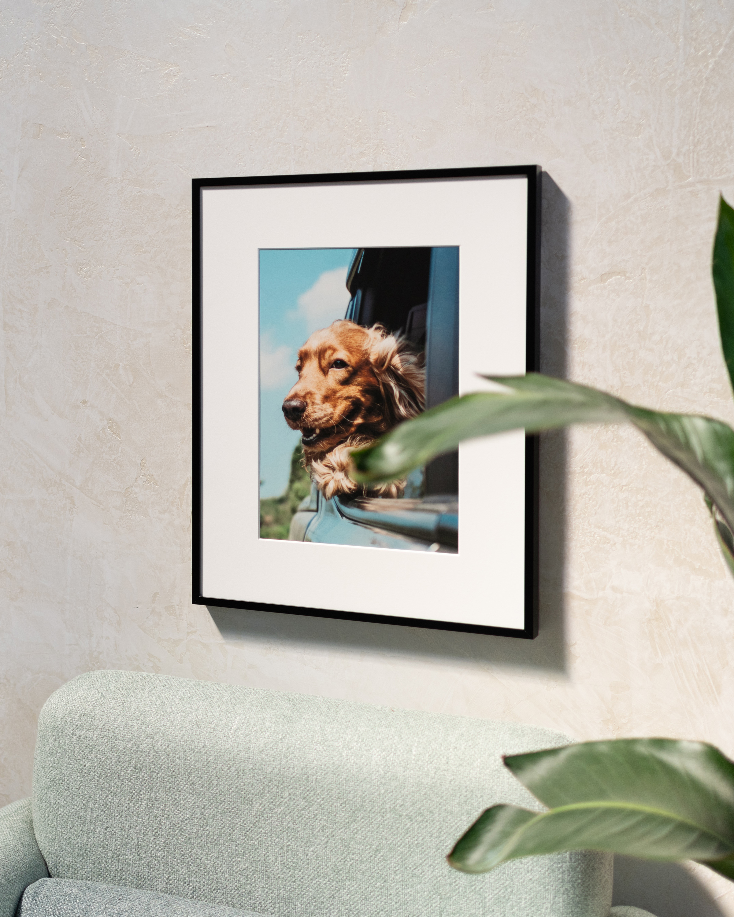 ProDPI Modern Metal Frames